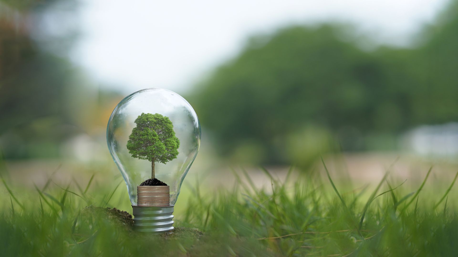 Exploring Energy Efficient Heating Options for Your Home